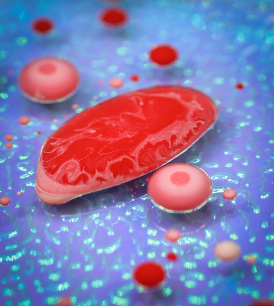 The Necessary Blood Tests for Donating Blood 1 fly d dRvi2FEQcXI unsplash